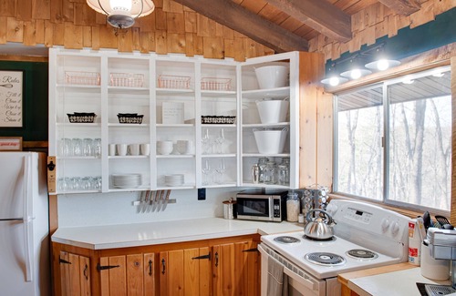Luray Cabin | Dog Friendly Cabin near River on Nearly 5 acres w/Strong WiFi + Robust Amenities