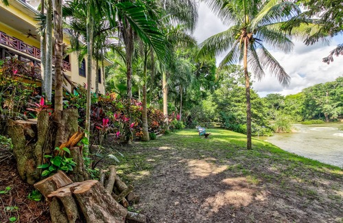 Bullet Tree Falls House | Dog-Friendly Riverfront Suites with Private Pool, Lovely Views, Partial AC & WiFi