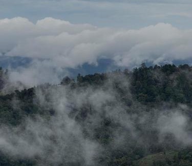 Chiang Rai Province Apartment | Doichang view-Sunset room