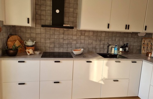 Centrum Apartment | Doktor Forselius Gata 16