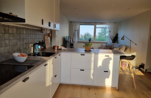 Centrum Apartment | Doktor Forselius Gata 16