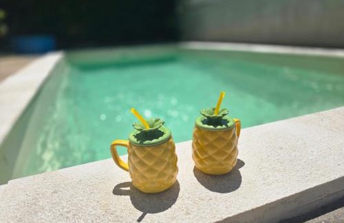 Antonci Apartment | Dolce vita - apartments with pool near Poreč