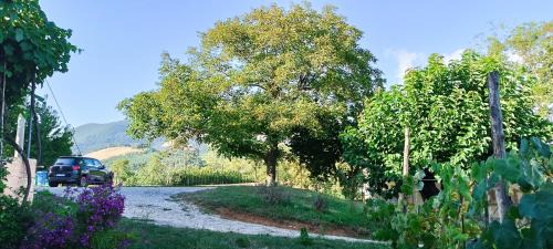 Morano Calabro Bed & Breakfast | Dolcedorme del Pollino