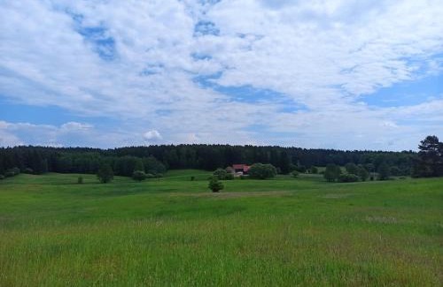 Jedwabno House | Dom na Mazurach z Widokiem Na Las