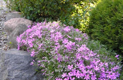 Dzwierzuty Villa | Dom nad jeziorem - Mazury