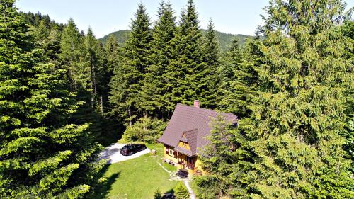 Zawoja Ski Chalet | DOM NAD POTOKIEM