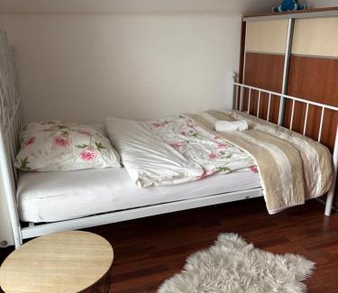 Sever House | Dom pri Veži