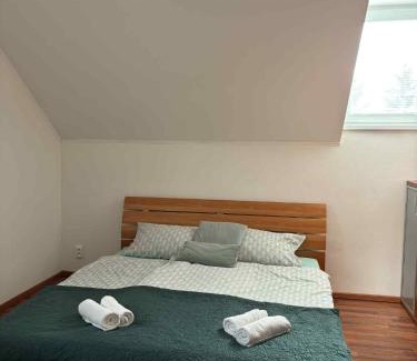 Sever House | Dom pri Veži