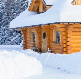 Istebna House | Dom z drzew