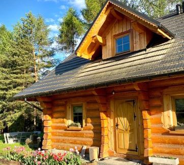 Istebna House | Dom z drzew