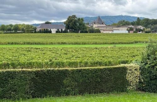 Saint-Jean-d'Ardieres Bed & Breakfast | Domaine de la Noiseraie - Suites spacieuses