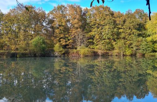 Mareuil-sur-Cher Villa | Domaine des Aulnaies - Beauval - Mareuil sur Cher