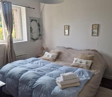 Brains-sur-Gee House | Domaine des Touches