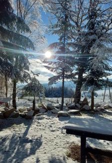 Lasowka Ski Chalet | Domek Dorota z widokiem na góry Lasówka 5km do Zieleniec Ski Arena