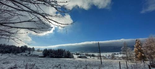 Lasowka Ski Chalet | Domek Dorota z widokiem na góry Lasówka 5km do Zieleniec Ski Arena