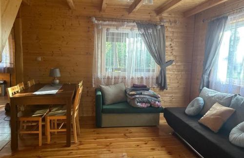 Ostroda House | Domek letniskowy Chrząszczów w Małej Rusi ARIZONA