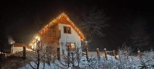 Lipowa House | Domek Pod Lasem