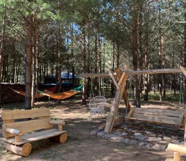 Dzwierzuty House | Domek pod lasem