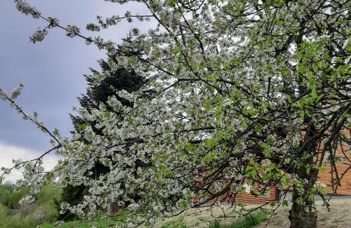 gmina Łukowica House | Domek pod Skiełkiem