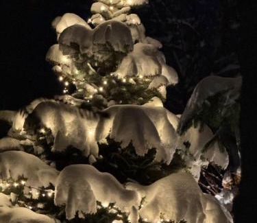 Potoczek Ski Chalet | DOMEK POD TRÓJMORSKIM WIERCHEM