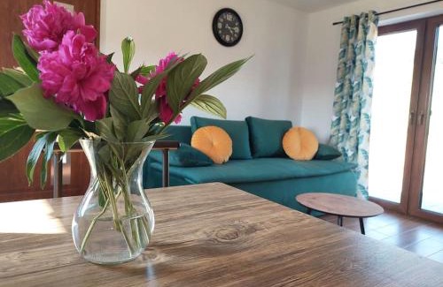 gmina Krempna Villa | Domek Rodakówka