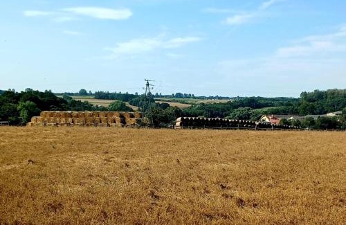 Mrzezino House | Domek u Sąsiada
