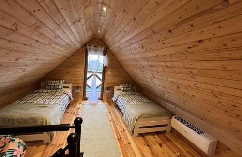 Kamieniec Zabkowicki Apartment | Domek w Górach Bardzkich