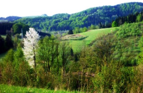 gmina Lewin Kłodzki House | Domek w górach Lewin Kłodzki koło Kudowy Zdrój