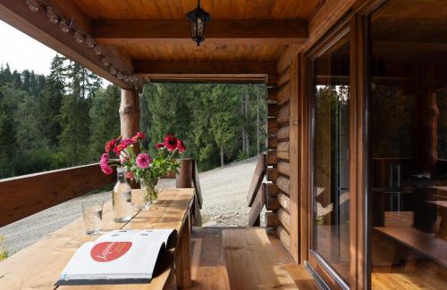 Lapsze Nizne House | Domek w Halpusie