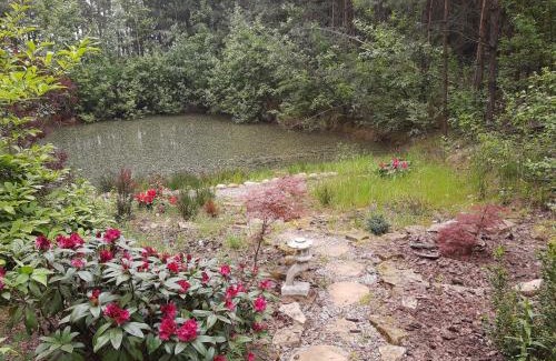 gmina Pniewy House | Domek w lesie