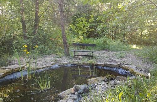 gmina Pniewy House | Domek w lesie