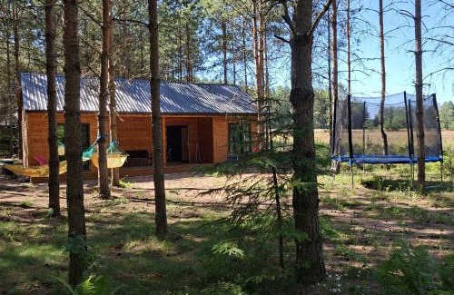 Dzwierzuty House | Domek w Miętkich