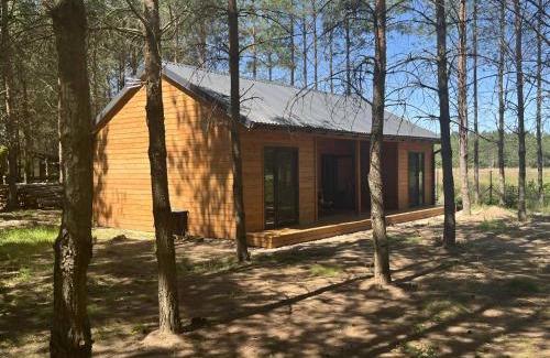 Dzwierzuty House | Domek w Miętkich