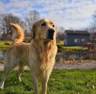 Paslek House | Domek z Sauną i balią jakuzii w głuszy