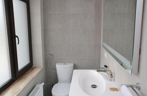 Tifesti Hotel | Domeniile Panciu Winery & Resort