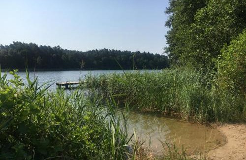 Bobrowo House | DomGalante - Nowoczesna stodoła na Pojezierzu Brodnickim