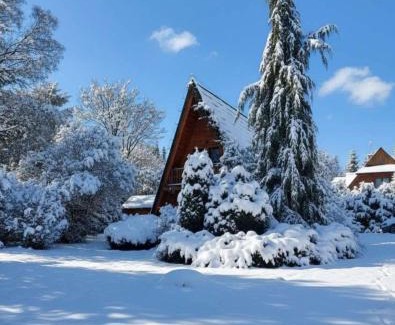 Łopuszna Ski Chalet | Domki Janosik - Góralski domek z kominkiem, przyjazny zwierzętom, ogrodzony, Łopuszna w Gorcach