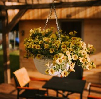 Pomerania Province Ski Chalet | Domki Marianówka Wieżyca