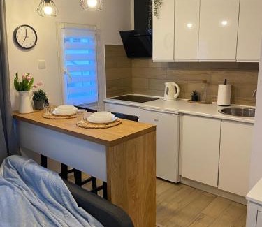 Czarna Dabrowka Cabin | Domki na skraju lasu