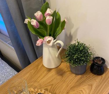 Czarna Dabrowka Cabin | Domki na skraju lasu