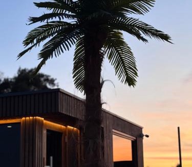 Nowecin House | Domki Piaskowa11 Palm Resort & Wellness