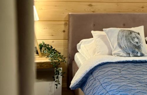 Bialka Tatrzanska Ski Chalet | Domki w Białce pod Kotelnicą