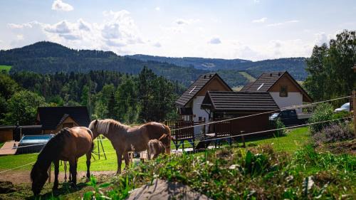 Wisla Ski Chalet | Domki w Górach "Osadowe Wzgórze" w Wiśle
