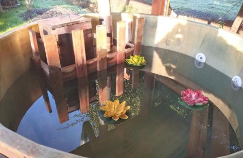 Coinco Ski Chalet | Domo, Cabaña, El Rulo Coinco