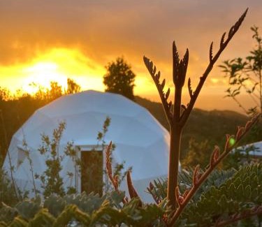 Los Muermos House | Domo con tinaja, Estaquilla