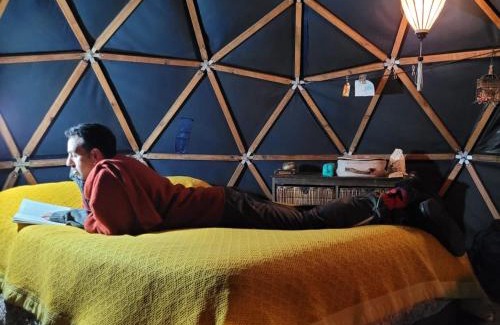 Partido de Tigre House | Domo de la Selva Tigre