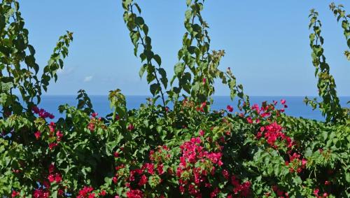 Sant'Ambrogio Apartment | Donna Luna Flat