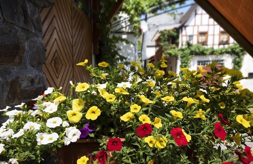 Punderich Apartment | Double room shower /WC Nunner garden - Kühn, Ingrid