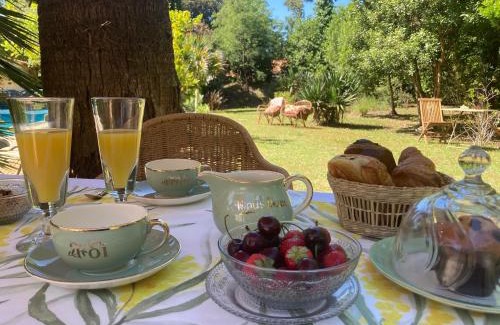 Saint-Trojan-les-Bains Bed & Breakfast | Douceur des Pins