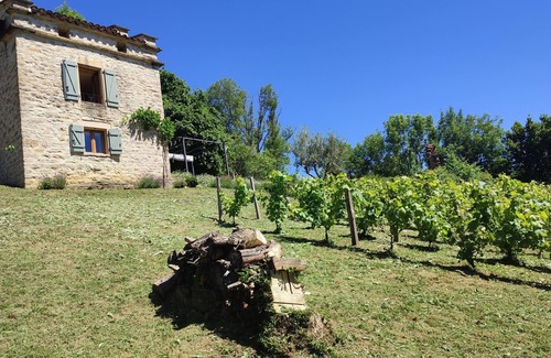 Caylus House | Dovecote of felines "calm and nature"